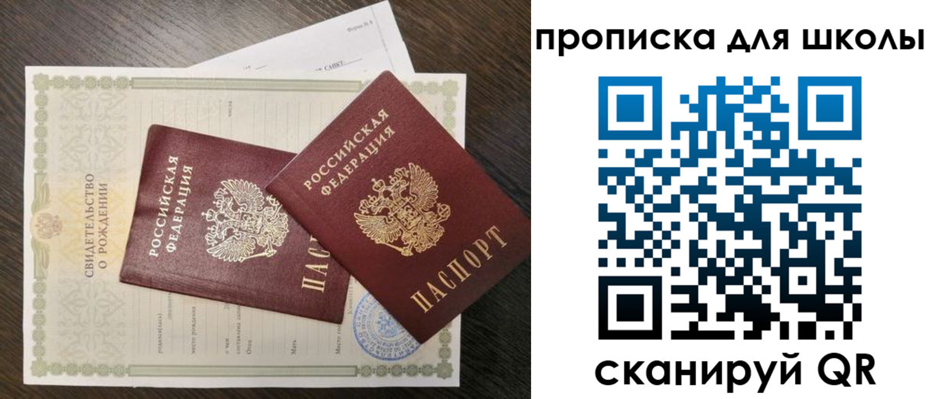 прописка гарантия в Ногинске